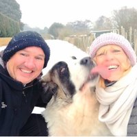 TheGlobalPetSitters(@JandJtravelling) 's Twitter Profile Photo