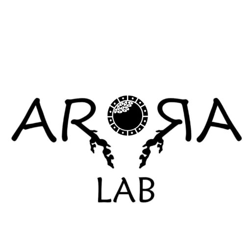 The Arora Lab uses developmental genetics and 3D imaging, to understand how hormones influence the uterine architecture to modulate early pregnancy.