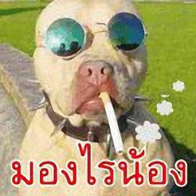 mtc9992's profile picture. 