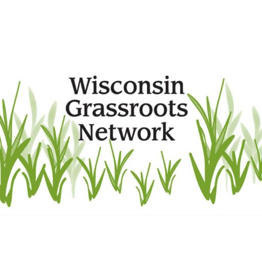 The Wisconsin Grassroots Network (WGN) works to provide networking of community- based grassroots organizations through our grassroots festivals and by promotin