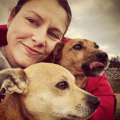 Steady_bear's profile picture. 