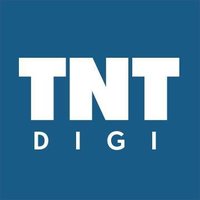 This 'n That Digital(@TNTDigi) 's Twitter Profile Photo