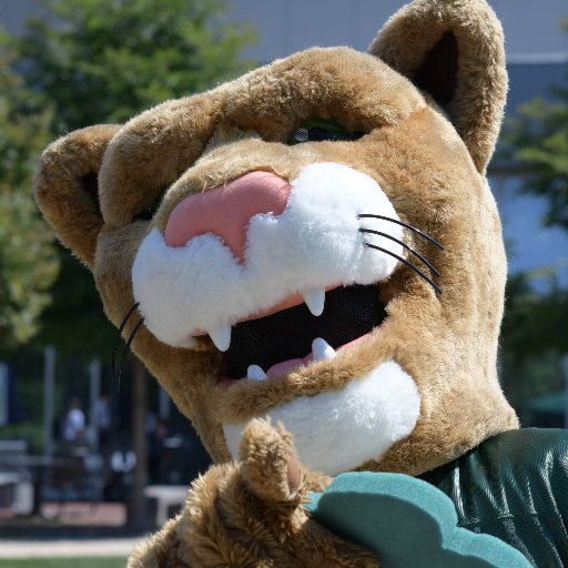 👋! My name is Kody Kougar and I'm the official mascot for @KishCollege. You can catch me at sporting events & all over campus and the community!