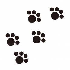 ねこの足跡 企画🐾さんのプロフィール画像