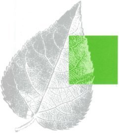 vhsRadolfzell's profile picture. 