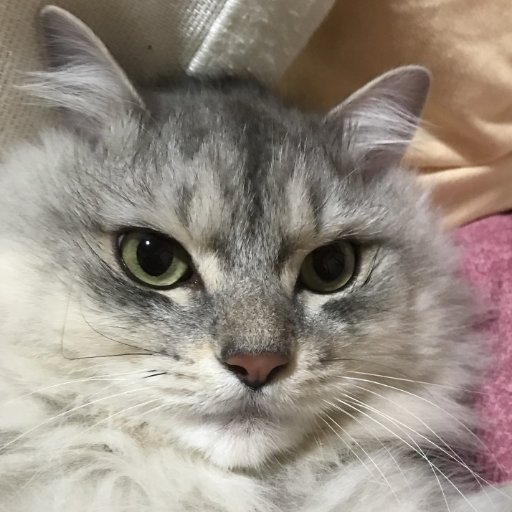 為替&ビットコインFXをやってます。先出し予想をしていますが、私の発言を信じて損しても責任は取りません。投資は自己責任で!