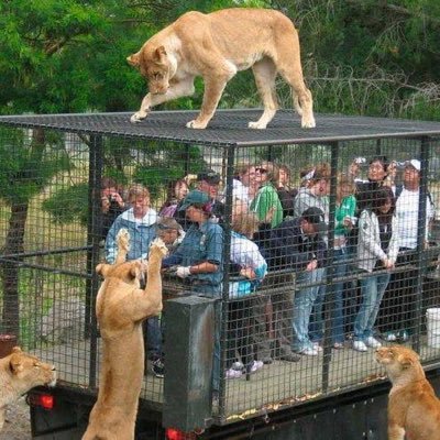 monsuabinha's profile picture. joga pra rolo a verdade