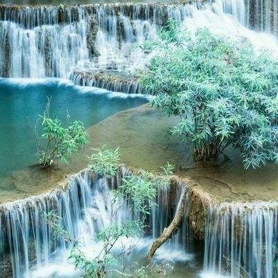 SNEHALKUMARRAT7's profile picture. 