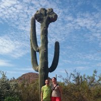 boredomresearch 🇪🇺 (@boredomresearch) 's Twitter Profile Photo