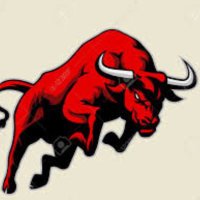 Torito (@toritotrader) 's Twitter Profile