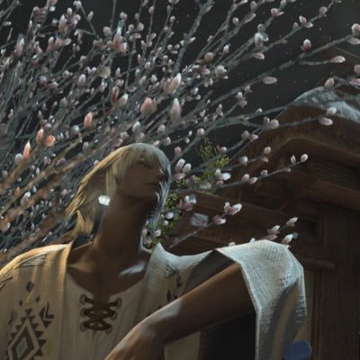 Safi_FF14 Profile Picture