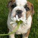 Ali Snell - @snellbell - Twitter