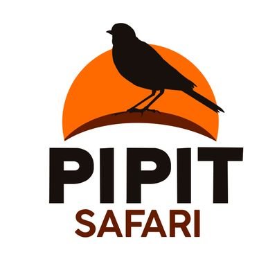 Pipit Safari Tanzania DMC