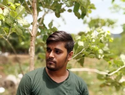 lazymind91's profile picture. 