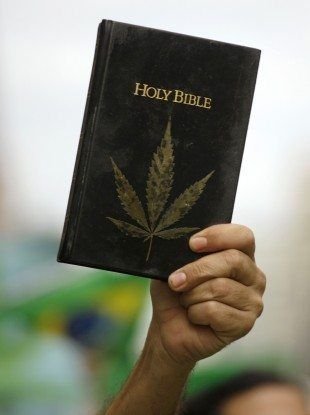 IUCS11's profile picture. A IGREJA USUÁRIA CANNABIS SATIVA  , convida todos os usuários a participarem da nossa congregação

 #IUCS