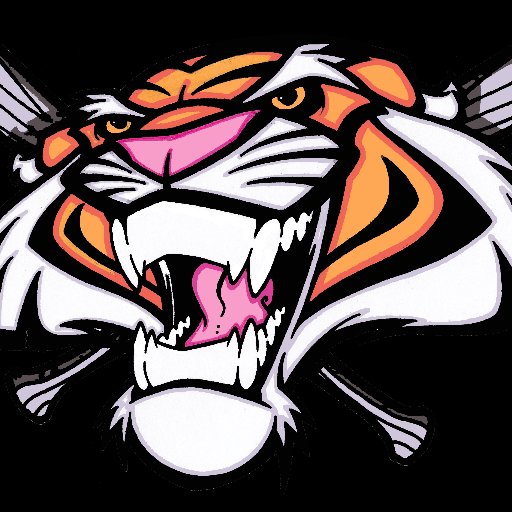 Official twitter account for Guntown Tigers Baseball. AAA affiliate of Saltillo HS (2021 State Champs). #TigerFamily #Tigers #Dirtbags #PistolCity #BangBang