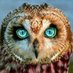 Daily Owls (@Daily__Owls) Twitter profile photo