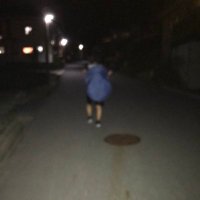 🐢【ウェイターズ】 (@laters_hiyomusi) Twitter profile photo
