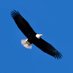 Eagle Won (@wxy112300) Twitter profile photo Eagle Won (@wxy112300) Twitter profile photo