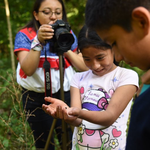 Siwaltetepetl's profile picture. Comunicadora| NahuaMexicana|Siwaltetepetl, Vengo de la montaña|Descendiente de las Cuahutzihua|Todo es a título personal 👩🏽‍🌾