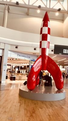 allopeuf's profile picture. 