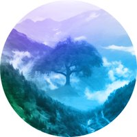 Mystic Valley Designs (@mysticvalleyweb) 's Twitter Profile