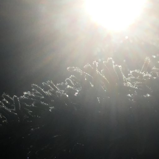 underflow_gw's profile picture. 