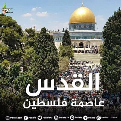 ‏مسلم و افتخر