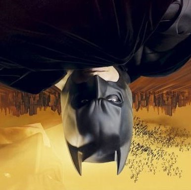 scuggers1's profile picture. Bats are nocturnal. I don't have the luxury of friends