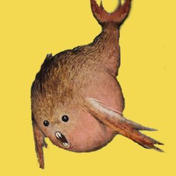 кофеин, код и пиксели | Если вы хотите в чём-то разбираться, но не разбираетесь, начните разбираться — и вы разберётесь
