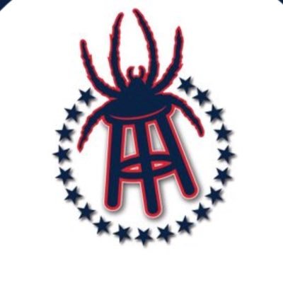 Welcome to Spider town | Direct Affiliate of @BarstoolSports | Not affiliated with the University of Richmond | Instagram @BarstoolUofR 🕷| DM us tips and vids.