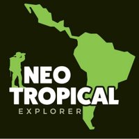 Neotropical Explorer(@neotropicalexp) 's Twitter Profile Photo