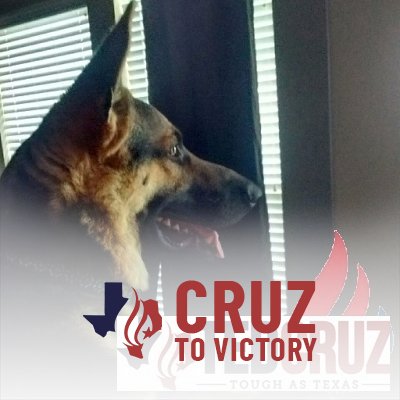 Christian, Father and GSD owner! I stand for Life, Liberty and the Pursuit of Happiness! Proud Ted Cruz Supporter. #CruzCrew #Prolife #KeepTexasRed