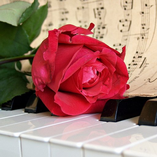 Ib_commuPR's profile picture. 쯔꾸르 게임 ' Ib ' 및 크로스오버 커뮤니티를 홍보합니다.