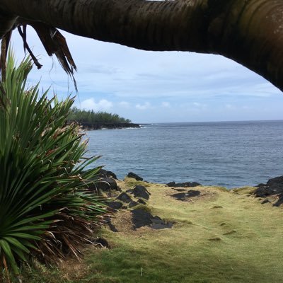 altec_974's profile picture. 