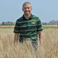 Andrew Friskop (@ndsucerealpath) 's Twitter Profile