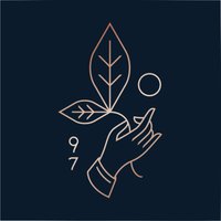 Rishi Tea & Botanicals (@rishitea) 's Twitter Profile
