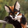 ZionaAki's profile picture. Artist • Fursuiter • INFP • 🐈🐈🐈 • 🐕 
• language: 🇩🇪🇬🇧
• learning: 🇩🇰🇪🇸🇯🇵🇰🇷 • 💘 @drenksor 06.03.2014 🦊 AD @ZionaNova