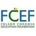 THE FCEF (@TheFCEF) Twitter profile photo