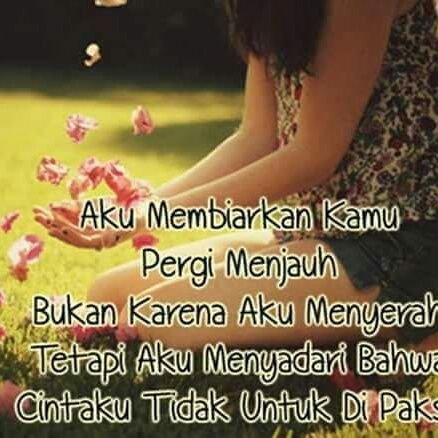 PYhauww's profile picture. 