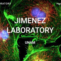 BioCheLa - UNAM(@JimenezLab1) 's Twitter Profile Photo