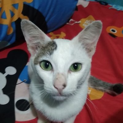 Rilsan9's profile picture. 