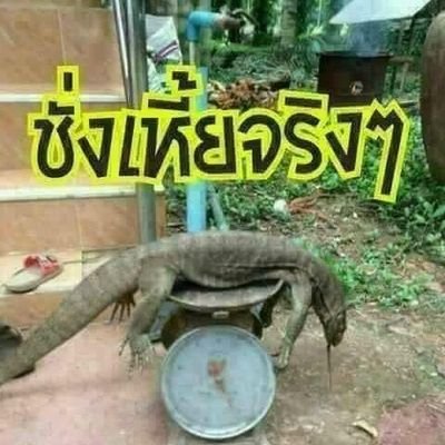 ZjSDMisGShFBlIm's profile picture. 