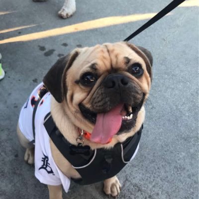 Erikaeve1969's profile picture. 