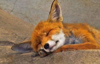 TracyFo96347176's profile picture. Professional Account: Director of Risk Management Muscogee County School District