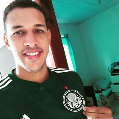 capixaba
🇮🇹 palmeirense de alma e coração 🐖🐷
o Palmeiras poca