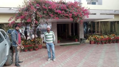rakesh340kumar's profile picture.