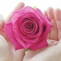 Rose (@premrose2) 's Twitter Profile Photo Rose (@premrose2) 's Twitter Profile Photo