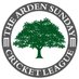 Arden Sunday Cricket (@aslcricket) Twitter profile photo