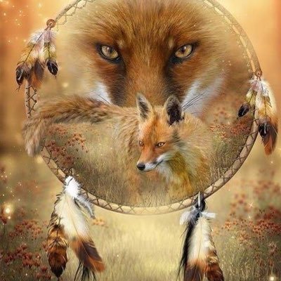 @Sakky_thePanda my GF 💖💗💖 💞I'm a metal guitarist & shredder.💞I'm Photographer💞 cooking 💖 BabyMetal💖 fashion & trend 💖Japan💖Cosplay💖Korea 💖